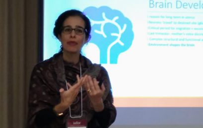 Linguagem, aprendizagem e desenvolvimento: perspectivas Sobre aquisição linguística e funcionamento cerebral